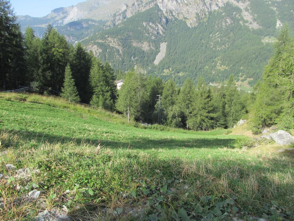 Cervino Valley House Rododendro Breuil-Cervinia Rum bild