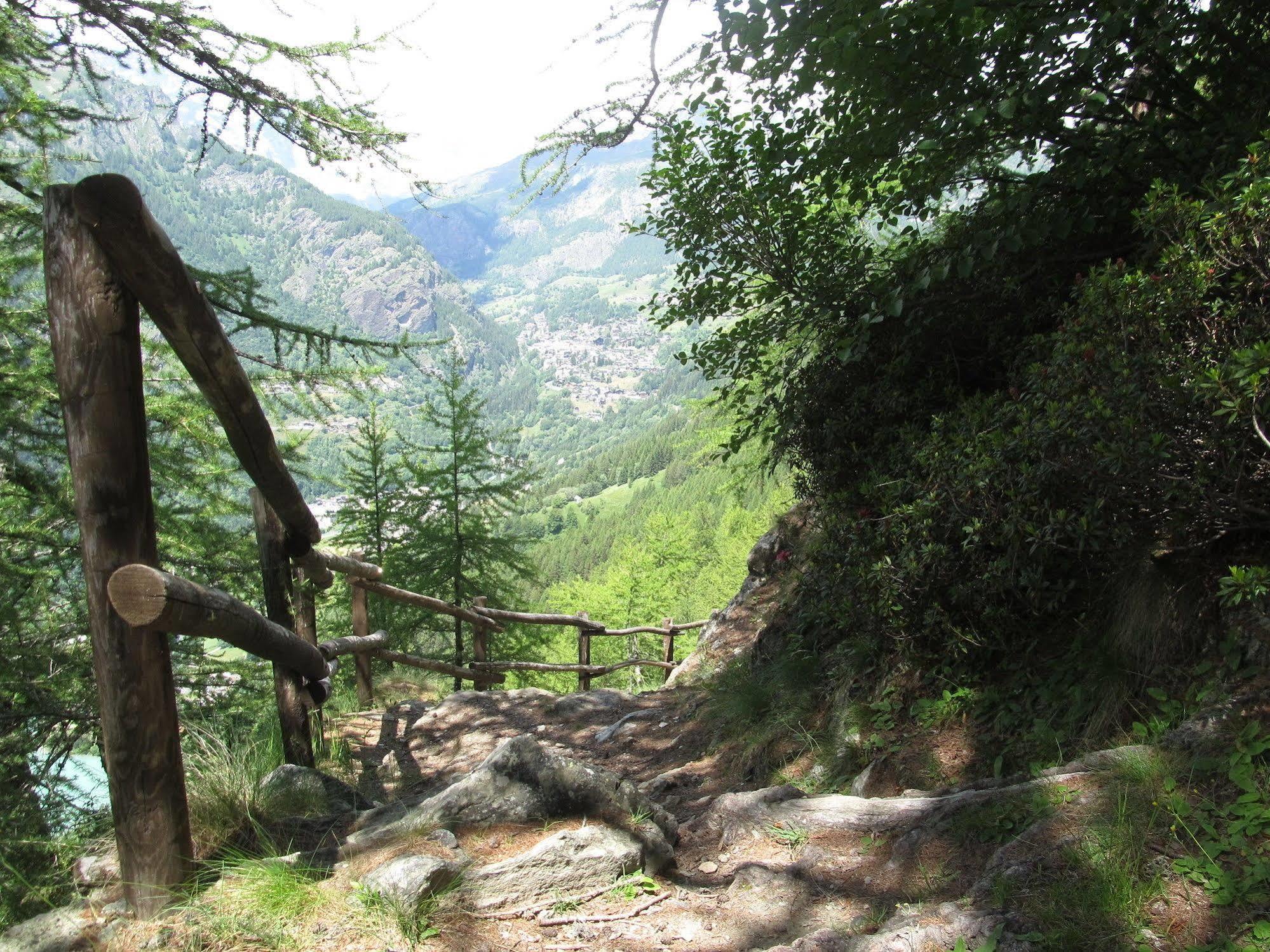 Cervino Valley House Rododendro Breuil-Cervinia Exteriör bild